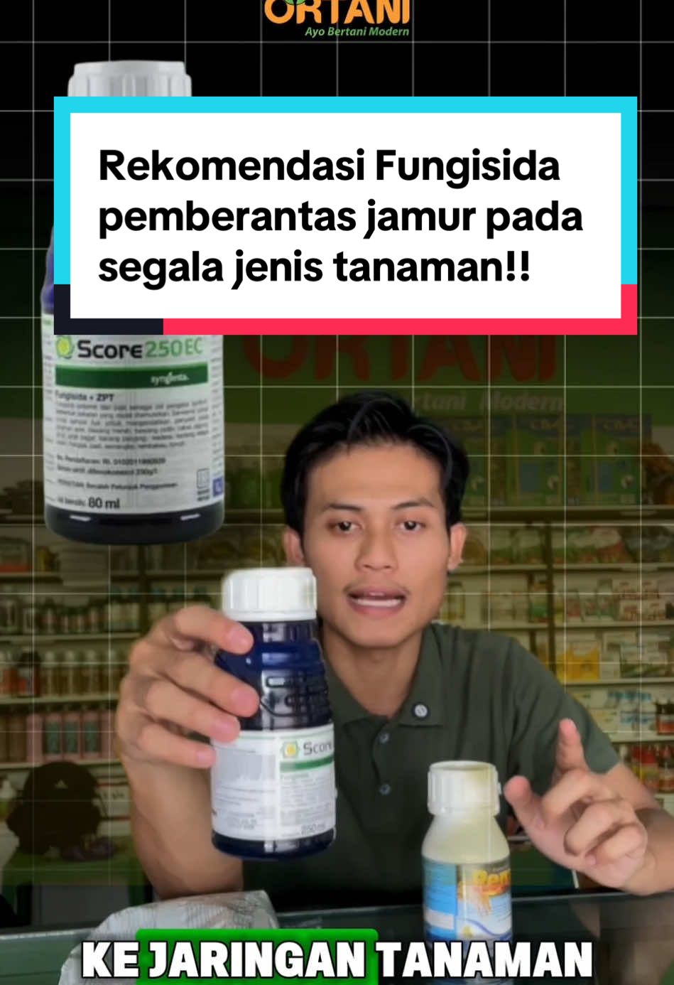 Musim hujan bikin tanaman rentan kena serangan jamur seperti hawar, bercak coklat, hingga busuk batang. Tapi jangan panik! Ini dia 3 fungisida andalan yang bisa kamu pakai: 🟢 Score  Fungisida sistemik berbahan aktif Difenokonazol 250 g/L, ampuh masuk ke jaringan tanaman. Cocok buat cabai, tomat, semangka, padi, hingga bawang! 🟢 Antracol  Fungisida kontak dan protektif, kerja dari luar, cegah jamur sebelum nyerang.  Bonus: ada kandungan Zinc untuk bantu daun tetap sehat & hijau! 🟢 Renzo  Fungisida + booster hasil panen!  ✅ Mengendalikan jamur  ✅ Bikin tanaman lebih hijau  ✅ Gabah lebih berisi  ✅ Tangkai malai lebih kuat  ➡️ Lebih hemat & hasil maksimal! Masih bingung mau pakai yang mana?  💬 Tanya di kolom komentar atau langsung ke Toko Ortani terdekat.  Konsultasi GRATIS, sak puasmu kawan! #fyp #petanisukses #rekomendasifungisida #petanimuda #petaniindonesia 