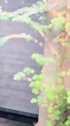 Bikers don't break the rules; we make our own. #honda #crf450#blowthisup #fypage #fypシ゚ @Danuka Dinuka @zakee @Luke🧃 @𝗕𝗮𝘀𝗸𝗲𝘁 🦎. @Ohasa Fernando @Dinuka Madumadava @Kaveesha Jayakodi @𝙈𝙧_𝙑𝙞𝙥𝙚𝙧_ 👽 @S 🍁 @Mahith Nethma @Ruwan motors hokandara @harith_chamalitha @Ravindu Kaushalya @Ravindu Lakshan @abhi_shek• @HABEEB @Rifnaz…07 @Ham_zai @Isuru putha @Vidvantha Gunathilake @Mahdhiii!🩶 