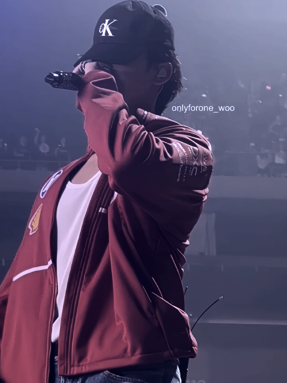 tifosi nih gengss #mingyu #seventeen #fyp 