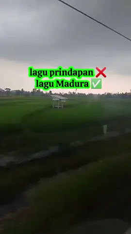 dimmah be'en Vita 😂😂😂@riyana_dian india madura buk 😂😂😂. #laguindia #lagumadura 
