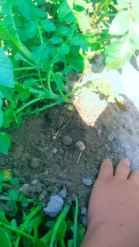 #😚😚😚😚😚 .