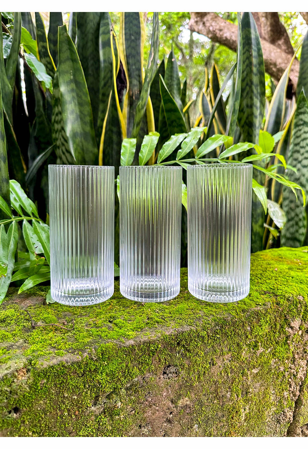 The fully ribbed glass featuring gold stainless steel straws 6pcs Fully Ribbed - ksh.3000 Gold straw set - ksh.500 #Glassware #Homeware #HomeInspo #KitchenHacks 