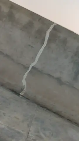 #foryoupage  #foryou 