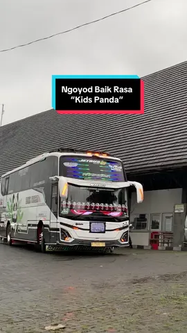 Ngoyod Baik Rasa Kids Panda @AGUNG KIDSPANDA @baikrasaperkasa @Davits @🇰 🇮 🇳 🇬  🇱 🇪 🇴 @Mr. OkDj #fypシ゚ #fyp #baikrasaperkasa #kidspanda #okdj 