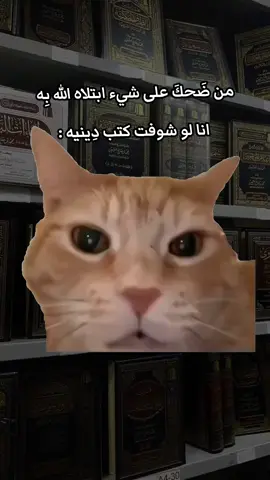 #Meme #MemeCut #CapCut 