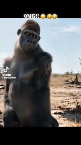 #fyppppppppppppppppppppppp #funny #hot #lol 