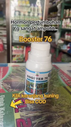 Booster 76 Hormon Pembungaan dan pembuahan #booster 76#pupukbuah #pupukcair #fyp #fypシ゚ 