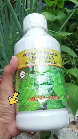 Yang mau ambil dikeranjang kuning bawah sekarang juga 🤩😋  #fyp  #bibitnusantara  #trending  #perekat untuk tanaman 