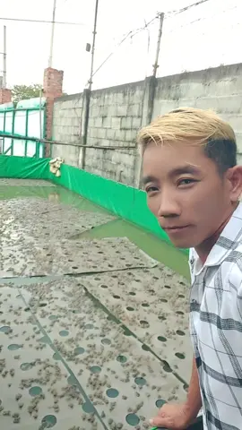hên hên mình lun🤣🤣🤣 à không thấp mới đúng.😅😅😅