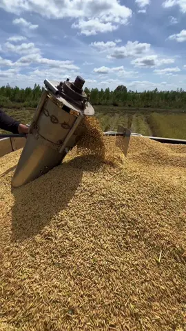 #ไทยเจริญการช่าง #วัยรุ่นอยุธยา #เข้ไล่ #อย่าจื๋อ 