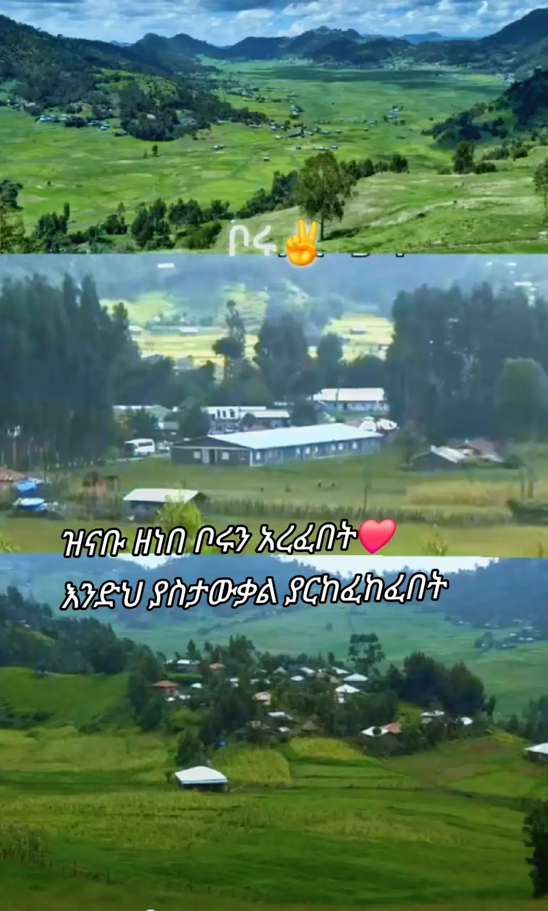 #ወሎ #❤️❤️❤️❤️❤️❤️❤️ 