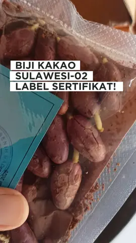 Juga Sulawesi-02 yang juga terkenal bagus, jadi mau tanam? #bijikakao #kakaounggul #kakaosulawesi