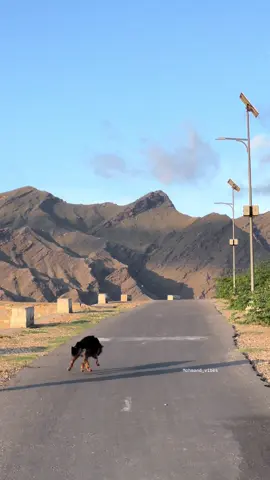 خود کو مرجھانے مت دیں، آپ نہیں تو کچھ بھی نہیں۔ یہ زندگی کوئی فضول تو نہیں ہے جسے کسی بھی واقعہ کے سپرد کر دیا جائے۔ آپ خوش رہیں گے تو یہ دنیا بھی آپ کے ساتھ مسکرائے گی۔ خود کو ہمیشہ ایکٹو، ریلیکس اور پر اعتماد رکھیں۔ اپنا ساتھ کبھی نہ چھوڑیں، آپ کو اس کی سب سے زیادہ ضرورت ہے🌸🦋❤️‍🩹#instagram #mohmandvibes #خوبصورت_گاؤں #everyoneシ゚ #facebookmohmandvibes 