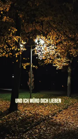 Ich brauche diese Version des Songs auf Spotify 🙏😍 #tiktok #lyrics #song #remake #spotify  @IExqisa ❤️