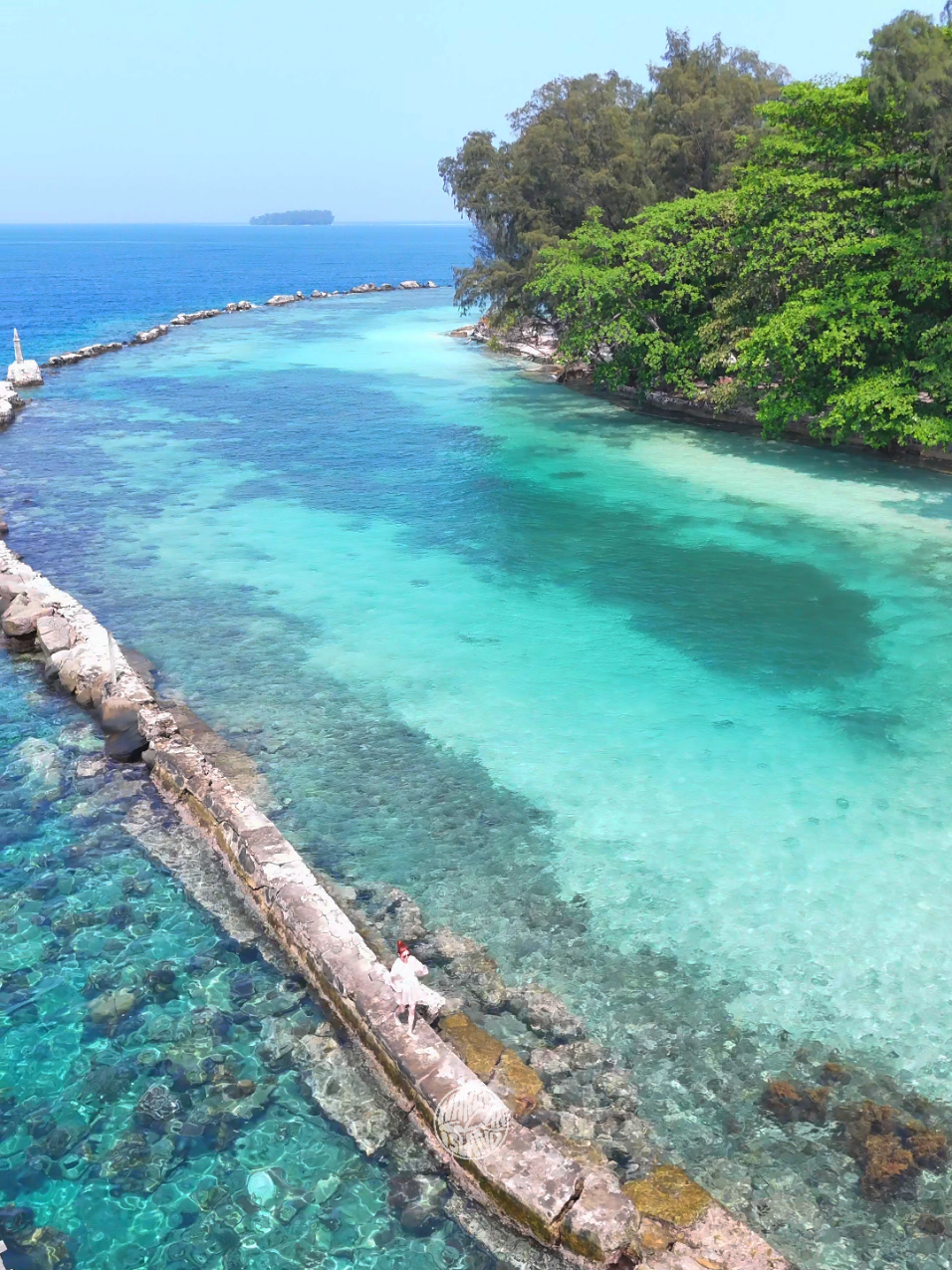 BOOKING NOW!! Open Trip & Private Trip  Pulau Harapan 🏝️🏖️ Include • Tiket Kapal PP Kaliadem/Marina Ancol -  Pulau Harapan & Asuransi • Homestay  • Makan 3x • Snorkeling dan jelajah Pulau pulau lain • life jacket (Pelampung) • Kapal Jelajah Pulau lain dan snorkeling  • Alat snorkeling • Guide lokal • Kamera underwater (GoPro Hero 11) • BBB (ikan bakar) INFO LEBIH LANJUT RESERVASI Phone WhatsApp: 0819 5941 0525 Instagram: @harapan.island #fyppp #pulauharapan #pulaudolphin #pulauseribu #opentrip 