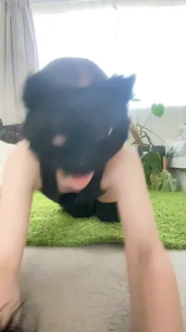 #therian #jump #quads 