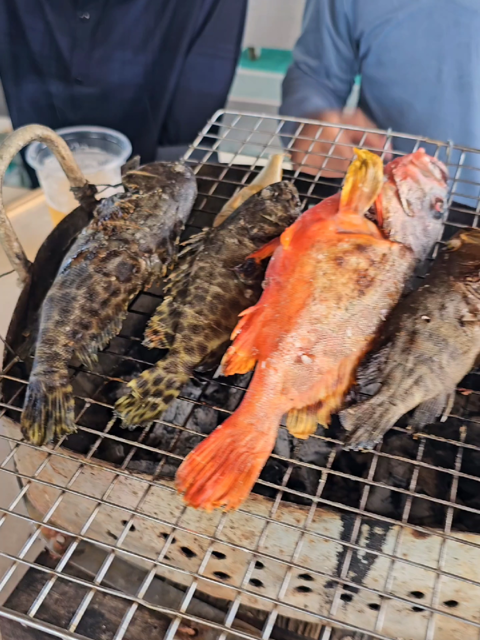 Thưởng thức món cá nướng giữa biển đảo ,còn gì bằng😋 Cảm ơn mọi người đã ủng hộ Sinh Nam Du nha 🤗  Bên e nhận tour trọn gói và combo tự túc hằng ngày nha khách ơi  ☎ 077.287.2698 zalo (LH Sinh)  #Sinhnamdu #sinhnamdu2 #viral#viralvideo#bien 