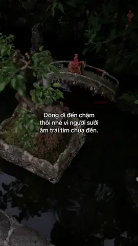 …#tamtrang #story 