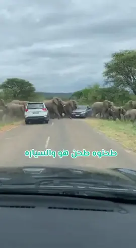 لما تكون أمك مش رضي عنك 
