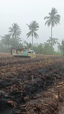 adus geden😅 .  #fyppppppppppppppppppppppp #trending #maestruck #fyp #umplung_mania 