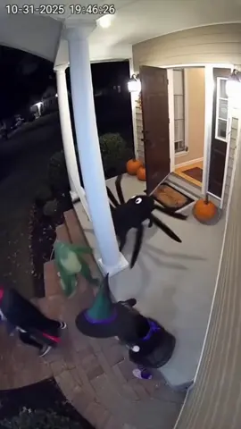 Little dog wearing black spider costume just scared that little kids hell out of it on Halloween prank house #halloween #prankhalloween #animalcustome 
