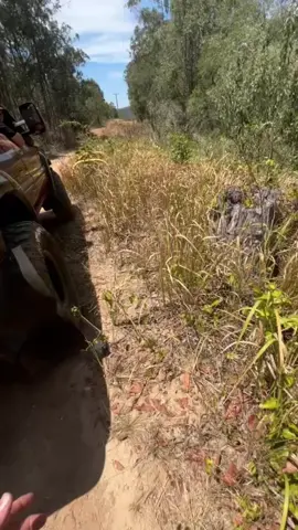Just a few clips of todays little 4bie mission 😂 @Old mates lux @💋🍸💌 @️eden xo #aigenerated #privateproperty #toyota #privateroad #landcruiser 