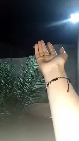 #في هذا اليوم 