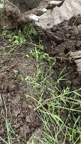 khổ rê 😒 ý tưởng vá bánh xe của (Pin Cá Voi)#dangkube69 #excavator 