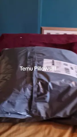 #fyi #temu #temufinds #temuhaul #temu 