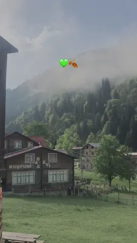 Çok güzelsin#karadeniz 😍#tasacakbudeniz #trt1 #ayderyaylası 