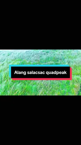 Alang salacsac quadpeak #creatorsearchinsights2025 #fyp #foryoupage #alangsalacsacquadpeaks 
