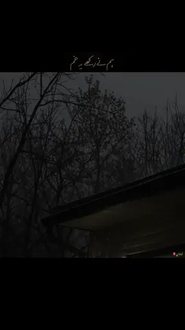 چاند حاصل ہو جائے تو چاند نہیں رہتا ❤️‍🩹 #poetryy #ahmedfaraz #creatorsearchinsight #editsss #emaanrajpoot 