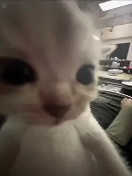 2 Tiếng xóa🐧🥀##xhhhhhhhhhhhhhhhhhhhhhhh #meme #lovetiktok #thotinhyeu #typ 