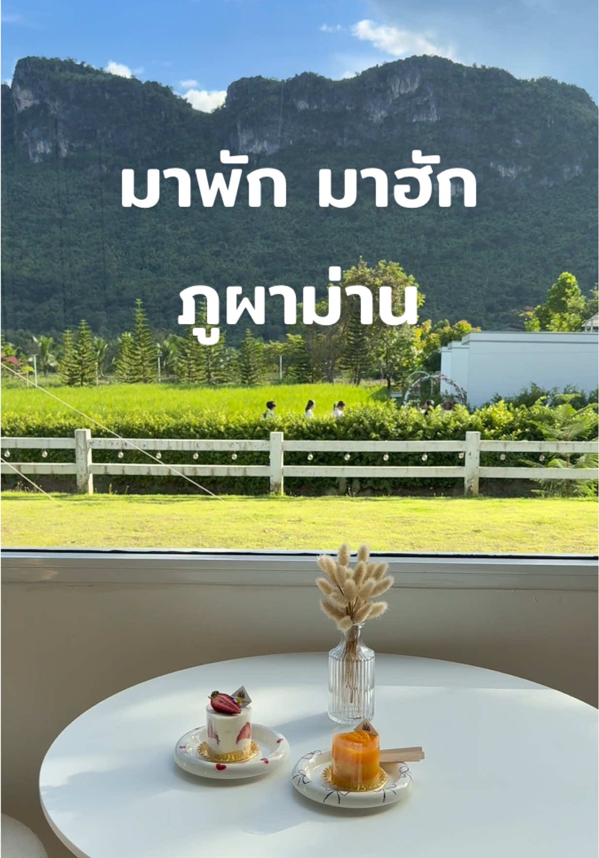 คาเฟ่ในภูผาม่าน ที่มีวิวสวยเหมือนภาพวาด  พิกัด : มาพักมาฮัก คาเฟ่  อ.ภูผาม่าน จ.ขอนแก่น #คาเฟ่ #คาเฟ่ภูผาม่าน #มาพักมาฮัก #ภูผาม่าน #ขอนแก่น 