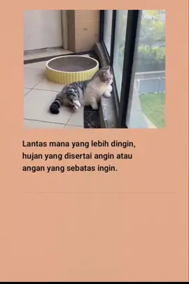 #katakatasedih #katakatabijak #fyp #viral #laguindia 