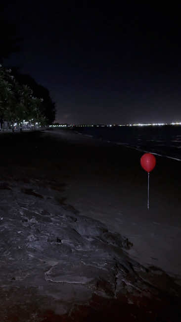 Looks like the tide brought in something it shouldn't have.