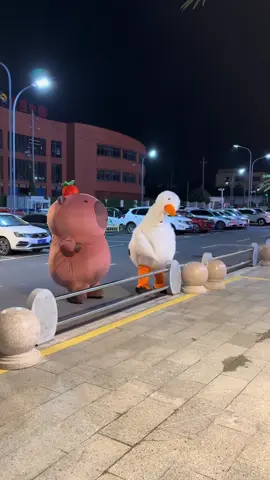 #capybara #loveyou #funny 