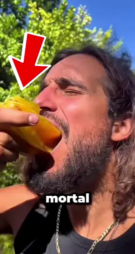 ¿Conoces la carambola? ⭐🍈 También llamada fruta estrella, es tan bonita como deliciosa. Originaria del sudeste asiático, tiene un sabor entre dulce y ácido, ¡y queda perfecta en jugos o postres! 😋 Además, está llena de vitamina C y antioxidantes. 🌿 Una fruta que parece de otro planeta… pero es 100% natural 🌍✨ #rexo #datoraro #curiosidades #frutas #shorts Disclaimer:This information is taken from the internet which may or may not be true we do not want to spread any fake news. The content provided by this channel is meant for EDUCATIONAL PURPOSE only. Copyright Disclaimer:- Under section 107 of copyright Act 1976, allowance is made for FAIR USE for purpose such a criticism, comment, news reporting, teaching, scholarship and research. Fair use is as permitted by copyright statues that might otherwise be infringing. Non-profit, educational or personal use tips the balance in favor of FAIR USE.
