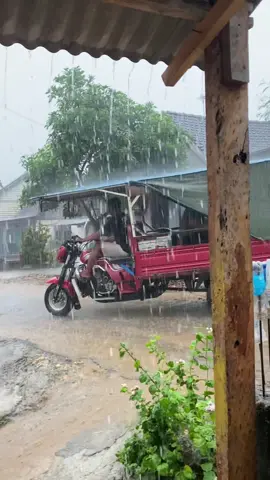 #sogok 