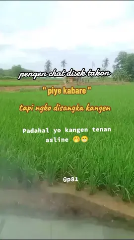 kangen? Lintang Ati x Lewat Angin Wengi #jowostory #jowopride 