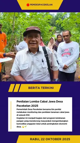 Penilaian Lomba Cabai Jawa Desa Pacekelan 2025 --------- Pemerintah Desa Pacekelan bersama tim penilai melakukan monitoring dan penilaian tanaman cabai jawa di seluruh RW. Kegiatan ini menjadi bagian dari program ketahanan pangan yang mendorong masyarakat mengembangkan komoditas unggulan lokal untuk peningkatan ekonomi desa. 💪🌱 @Mulyanto @Fahmi @Iskandar Munandar  #DesaPacekelan #KetahananPangan #CabaiJawa #Purworejo