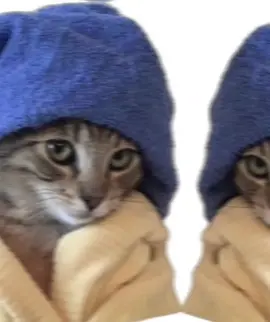 Saar🌷❤️#😍🌷🌷💕💕💕💕 #CHANDUU💗🐬 #wewe🌟🥹 #loverrrrrrr😍🌷🌷🌷🌷🌷🌷🌷🌷🌷 #😍🌷🌷💕💕💕💕 