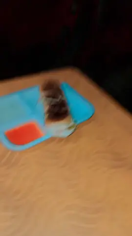 loho Pani walo 😁😅🙈#aunfeezmyaccount #trending #foreyoupageofficiall #foreyoupage💕💓💕🥵 