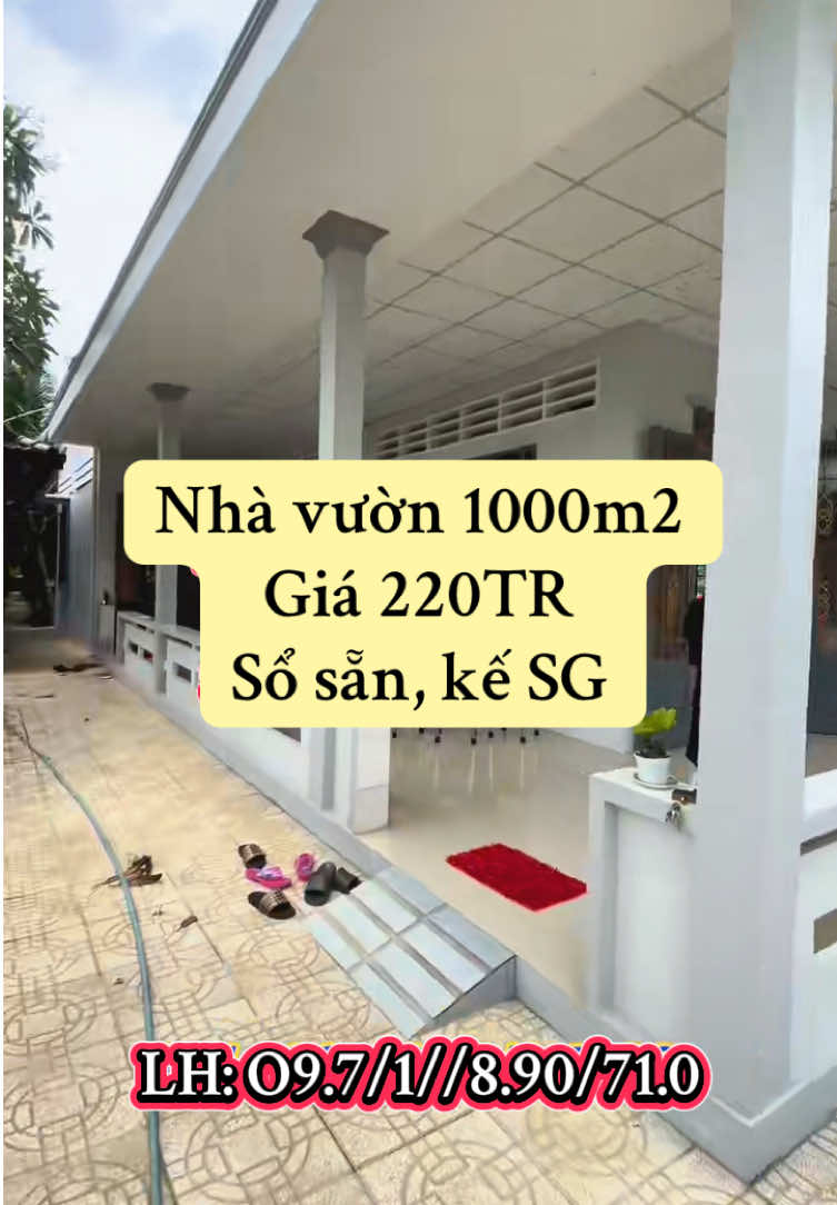 LH:09.71//8.9/07.10#bđsgiatốt#bđsbinhphuoc#bđsbinhduong#bđsbinhphuoc#viral 