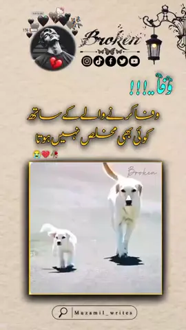 وفا کرنے والے کے ساتھ  کوئی بھی مخلص نہیں ہوتا 💔🥺🫂#pleaseunfrezzemyaccount #creatorsearchinsights #1miillion 