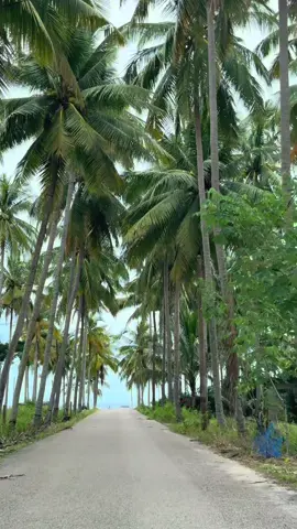 wife dah jatuh cinta kat terengganu, Ada rezeki kita tinggal kat sini nanti. #terengganu #kampungjambubongkok 