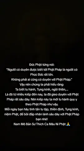 #hocphatmoingay #phatphap #hocphatmoingay #phatphapnhiemmau #xh 
