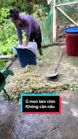 Hướng dẫn cach ủ men cho lợn gà #menvisinh #xuhuong #channuoilon #nuoiga #nuoivit 