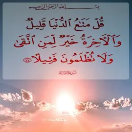 الشيخ محمد الفقيه #سورة النساء 