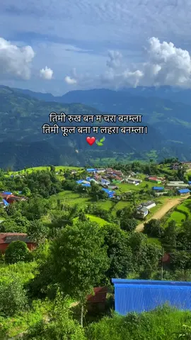 तिमी रुख बन म चरा बनम्ला  तिमी फूल बना म लहरा बनम्ला। ❤️🍃#plzsupportme #tanding_song #foryoupage #fypシ #fypシ 